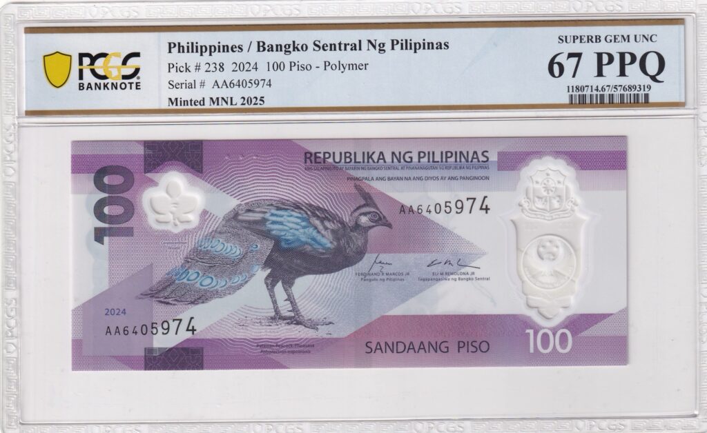 Philippinen – 100 – Piso – 2024